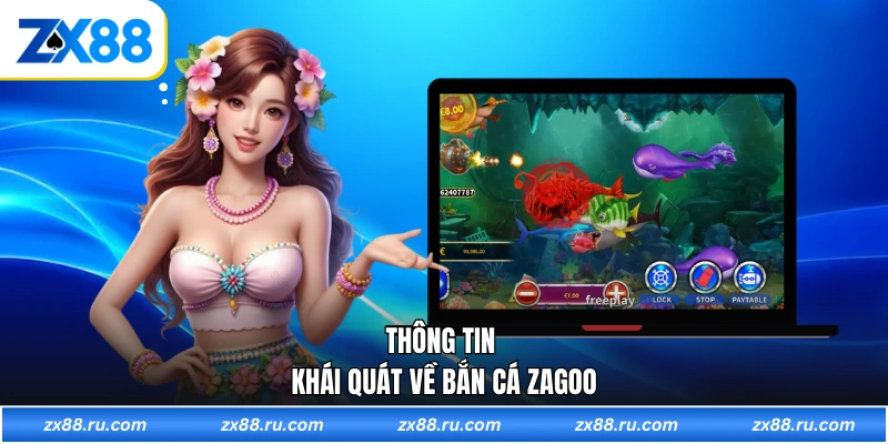 Thông tin khái quát về bắn cá zagoo